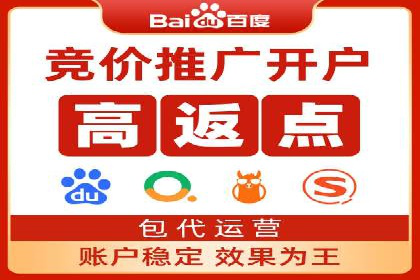行业领先SEM服务公司案例研究